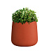 Кашпо CONCRETIKA CONE TERRACOTTA D32H36 заказать и купить с доставкой из магазина производителя Конкретика по цене 10 200 руб.
