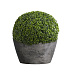 Кашпо CONCRETIKA BOWL CONCRETE GREY DARK D65H36 заказать и купить с доставкой из магазина производителя Конкретика по цене 19 960 руб.