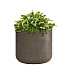 Кашпо CONCRETIKA TOPPER SMOKEY GREY D40H40 заказать и купить с доставкой из магазина производителя Конкретика по цене 14 910 руб.