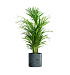 Кашпо CONCRETIKA CYLINDER OCEAN GREEN D40H40 заказать и купить с доставкой из магазина производителя Конкретика по цене 17 290 руб.
