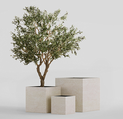 Кашпо CONCRETIKA CUBE EROSIA YELLOW 50x50x50 заказать и купить Кашпо CONCRETIKA CUBE EROSIA YELLOW 50x50x50 заказать и купить по цене 25 920 руб ниже рынка от производителя с доставкой.