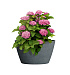 Кашпо CONCRETIKA BOWL EROSIA GREY D52H29 заказать и купить с доставкой из магазина производителя Конкретика по цене 12 760 руб.
