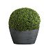 Кашпо CONCRETIKA BOWL SMOKEY BLUE D65H36 заказать и купить с доставкой из магазина производителя Конкретика по цене 19 960 руб.