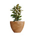 Кашпо CONCRETIKA UPON CLASSIC CLAY D85H75 заказать и купить с доставкой из магазина производителя Конкретика по цене 47 620 руб.