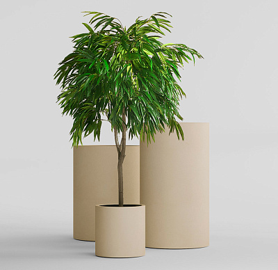 Кашпо CONCRETIKA CYLINDER SAHARA D30H60 заказать и купить Кашпо CONCRETIKA CYLINDER SAHARA D30H60 заказать и купить по цене 14 190 руб ниже рынка от производителя с доставкой.