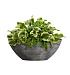 Кашпо CONCRETIKA BONSAY CONCRETE GREY DARK D50H19 заказать и купить с доставкой из магазина производителя Конкретика по цене 13 970 руб.