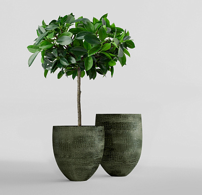 Кашпо CONCRETIKA BARREL CAYMAN GREEN D41H60 заказать и купить Кашпо CONCRETIKA BARREL CAYMAN GREEN D41H60 заказать и купить по цене 21 680 руб ниже рынка от производителя с доставкой.