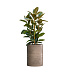 Кашпо CONCRETIKA CYLINDER SMOKEY GREY D50H65 заказать и купить с доставкой из магазина производителя Конкретика по цене 33 260 руб.