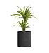 Кашпо CONCRETIKA CYLINDER EROSIA BLACK D60H65 заказать и купить с доставкой из магазина производителя Конкретика по цене 35 700 руб.