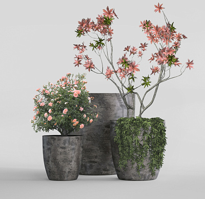 Кашпо CONCRETIKA VASE 3 CONCRETE GREY DARK D60H65 заказать и купить Кашпо CONCRETIKA VASE 3 CONCRETE GREY DARK D60H65 заказать и купить по цене 40 880 руб ниже рынка от производителя с доставкой.