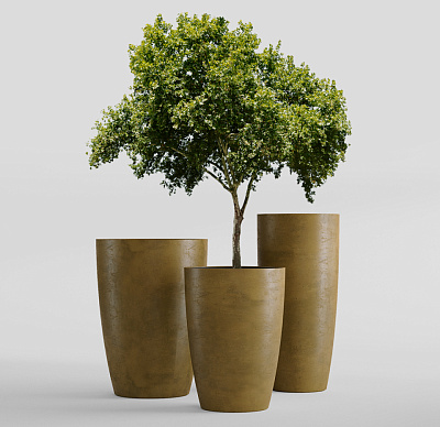 Кашпо CONCRETIKA CONUS AVOCADO D39H60 заказать и купить Кашпо CONCRETIKA CONUS AVOCADO D39H60 заказать и купить по цене 18 790 руб ниже рынка от производителя с доставкой.