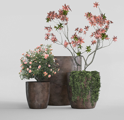 Кашпо CONCRETIKA VASE 3 TAUPE CONCRETE D60H65 заказать и купить Кашпо CONCRETIKA VASE 3 TAUPE CONCRETE D60H65 заказать и купить по цене 40 880 руб ниже рынка от производителя с доставкой.