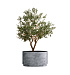 Кашпо CONCRETIKA CYLINDER XL CONCRETE GREY LIGHT D70H45 заказать и купить с доставкой из магазина производителя Конкретика по цене 37 250 руб.