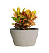 Кашпо CONCRETIKA BOWL EROSIA YELLOW D80H45 заказать и купить с доставкой из магазина производителя Конкретика по цене 33 150 руб.