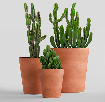 Кашпо CONCRETIKA CRATER RED CLAY D20H16 заказать и купить Кашпо CONCRETIKA CRATER RED CLAY D20H16 заказать и купить по цене 5 510 руб ниже рынка от производителя с доставкой.