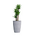 Кашпо CONCRETIKA CONUS EROSIA WHITE D50H69 заказать и купить с доставкой из магазина производителя Конкретика по цене 33 670 руб.