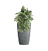 Кашпо CONCRETIKA CONUS SMOKEY BLUE D39H60 заказать и купить с доставкой из магазина производителя Конкретика по цене 19 960 руб.