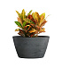Кашпо CONCRETIKA BOWL SMOKEY BLUE D80H45 заказать и купить с доставкой из магазина производителя Конкретика по цене 34 600 руб.