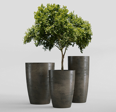 Кашпо CONCRETIKA CONUS BREZENT GREY D39H60 заказать и купить Кашпо CONCRETIKA CONUS BREZENT GREY D39H60 заказать и купить по цене 19 960 руб ниже рынка от производителя с доставкой.