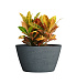 Кашпо CONCRETIKA BOWL EROSIA GREY D80H45 заказать и купить с доставкой из магазина производителя Конкретика по цене 33 150 руб.