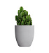 Кашпо CONCRETIKA VASE 3 SHALE D50H55 заказать и купить с доставкой из магазина производителя Конкретика по цене 19 960 руб.