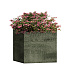 Кашпо CONCRETIKA CUBE CAYMAN GREEN 30x30x30 заказать и купить с доставкой из магазина производителя Конкретика по цене 11 480 руб.