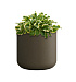 Кашпо CONCRETIKA TOPPER OLIVE D40H40 заказать и купить с доставкой из магазина производителя Конкретика по цене 12 420 руб.