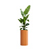 Кашпо CONCRETIKA CYLINDER CARROT D40H80 заказать и купить с доставкой из магазина производителя Конкретика по цене 22 950 руб.