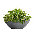 Кашпо CONCRETIKA BONSAY SMOKEY BLUE D50H19 заказать и купить с доставкой из магазина производителя Конкретика по цене 13 970 руб.