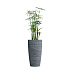 Кашпо CONCRETIKA CONUS EROSIA GREY D40H80 заказать и купить с доставкой из магазина производителя Конкретика по цене 22 950 руб.