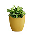 Кашпо CONCRETIKA VASE 3 GOLD D30H32 заказать и купить с доставкой из магазина производителя Конкретика по цене 10 710 руб.