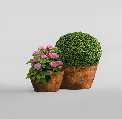 Кашпо CONCRETIKA BOWL CAYMAN BROWN D65H36 заказать и купить Кашпо CONCRETIKA BOWL CAYMAN BROWN D65H36 заказать и купить по цене 19 130 руб ниже рынка от производителя с доставкой.