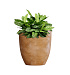 Кашпо CONCRETIKA VASE 3 CLASSIC CLAY D30H32 заказать и купить с доставкой из магазина производителя Конкретика по цене 10 520 руб.