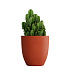 Кашпо CONCRETIKA VASE 3 TERRACOTTA D50H55 заказать и купить с доставкой из магазина производителя Конкретика по цене 19 960 руб.
