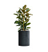 Кашпо CONCRETIKA CYLINDER ANTHRACITE D50H65 заказать и купить с доставкой из магазина производителя Конкретика по цене 33 260 руб.
