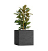 Кашпо CONCRETIKA CUBE EROSIA BLACK 70x70x70 заказать и купить с доставкой из магазина производителя Конкретика по цене 62 990 руб.