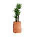 Кашпо CONCRETIKA CONE RED CLAY D38H60 заказать и купить с доставкой из магазина производителя Конкретика по цене 23 800 руб.