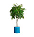 Кашпо CONCRETIKA CYLINDER COBALT BLUE D45H45 заказать и купить с доставкой из магазина производителя Конкретика по цене 20 050 руб.