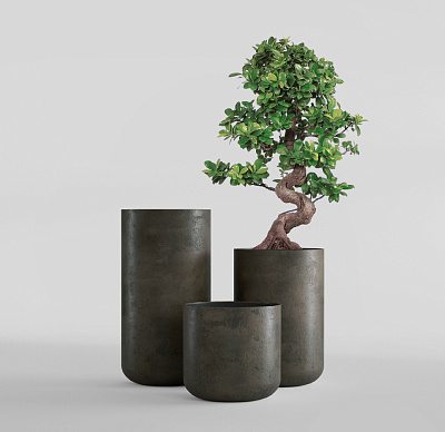 Кашпо CONCRETIKA TOPPER BREZENT GREY D40H40 заказать и купить Кашпо CONCRETIKA TOPPER BREZENT GREY D40H40 заказать и купить по цене 14 910 руб ниже рынка от производителя с доставкой.