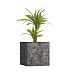 Кашпо CONCRETIKA CUBE CONCRETE GREY DARK 80x80x80 заказать и купить с доставкой из магазина производителя Конкретика по цене 86 490 руб.