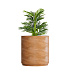 Кашпо CONCRETIKA CYLINDER XL CLASSIC CLAY D100H105 заказать и купить с доставкой из магазина производителя Конкретика по цене 101 490 руб.