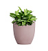 Кашпо CONCRETIKA VASE 3 COCOA D30H32 заказать и купить с доставкой из магазина производителя Конкретика по цене 9 320 руб.