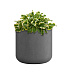 Кашпо CONCRETIKA TOPPER LONDON GREY D40H40 заказать и купить с доставкой из магазина производителя Конкретика по цене 12 420 руб.