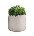 Кашпо CONCRETIKA CONE CONCRETE WHITE D32H36 заказать и купить с доставкой из магазина производителя Конкретика по цене 12 240 руб.