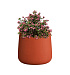 Кашпо CONCRETIKA CONE TERRACOTTA D24H26 заказать и купить с доставкой из магазина производителя Конкретика по цене 5 540 руб.