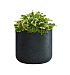 Кашпо CONCRETIKA TOPPER ANTHRACITE D40H40 заказать и купить с доставкой из магазина производителя Конкретика по цене 14 910 руб.