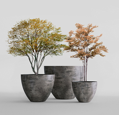 Кашпо CONCRETIKA UPON CONCRETE GREY DARK D65H55 заказать и купить Кашпо CONCRETIKA UPON CONCRETE GREY DARK D65H55 заказать и купить по цене 29 280 руб ниже рынка от производителя с доставкой.