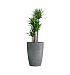 Кашпо CONCRETIKA CONUS SMOKEY BLUE D50H69 заказать и купить с доставкой из магазина производителя Конкретика по цене 35 120 руб.