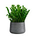 Кашпо CONCRETIKA CONE SMOKEY BLUE D60H42 заказать и купить с доставкой из магазина производителя Конкретика по цене 29 280 руб.