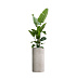 Кашпо CONCRETIKA CYLINDER CONCRETE WHITE D40H80 заказать и купить с доставкой из магазина производителя Конкретика по цене 27 550 руб.